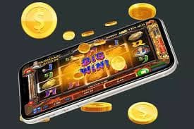 813bet com