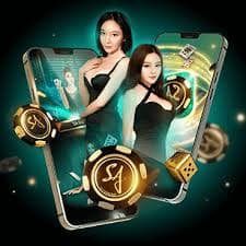 813bet com